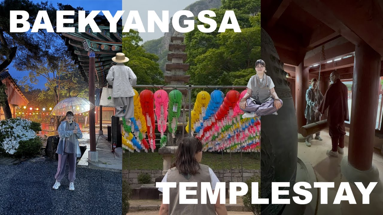Baekyangsa Templestay (VLOG + REVIEW)