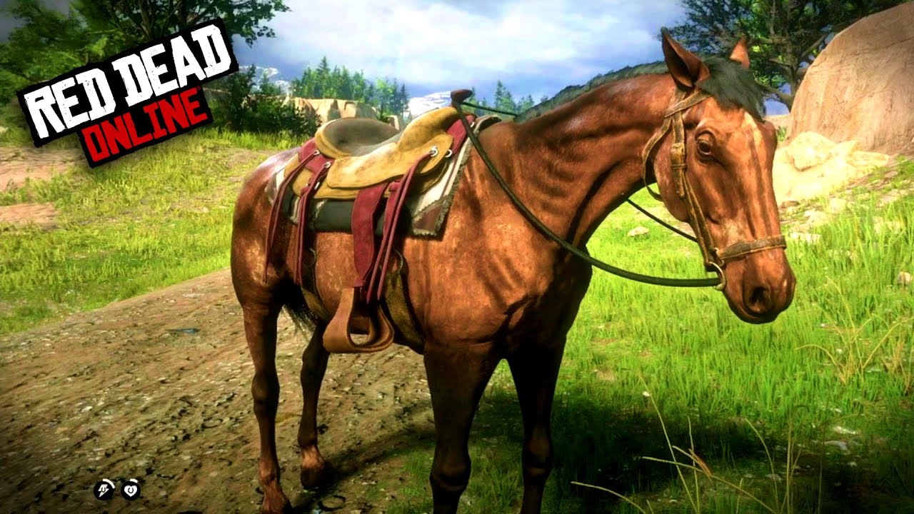 [2024] OS MELHORES CAVALOS DE RED DEAD REDEMPTION 2 ONLINE