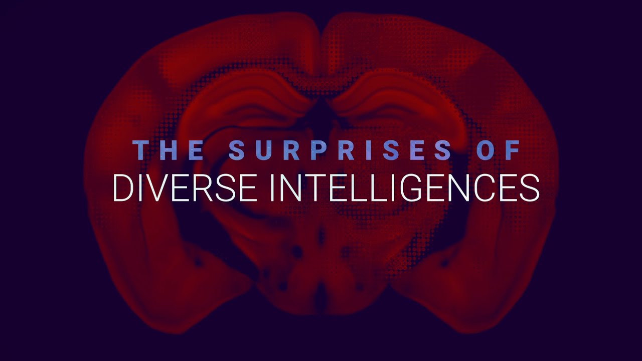The Surprises of Diverse Intelligences