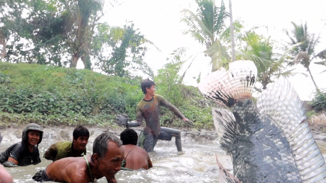 ButuhTenaga EKSTRA!!tangkap Ikan sembari kameramen//terasa rogoh dikolam satu RT nyegur semua
