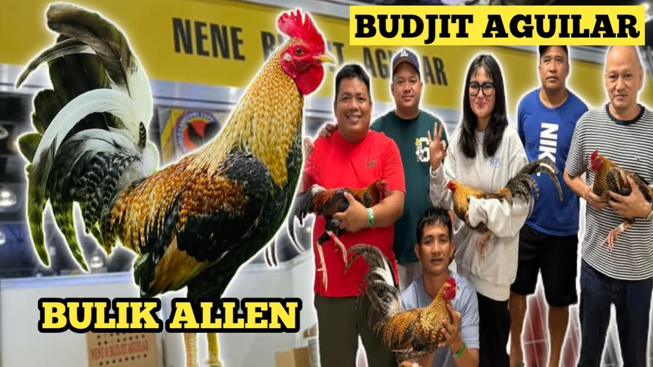 BULIK SA ALLEN - ANG SIKAT NA LINYADA NI MAM BUDJIT AGUILAR - WORLD GAMEFOWL EXPO!