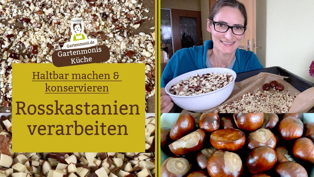Kastanien sammeln und verarbeiten: Rosskastanien-Pulver als Basis für chemiefreies Waschmittel