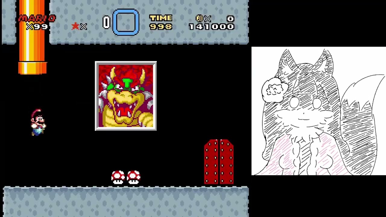 Kaizo 3 Bowser 4 times in a row