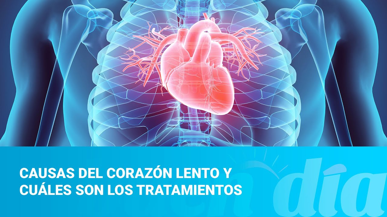 Causas del corazón lento y cuáles son los tratamientos