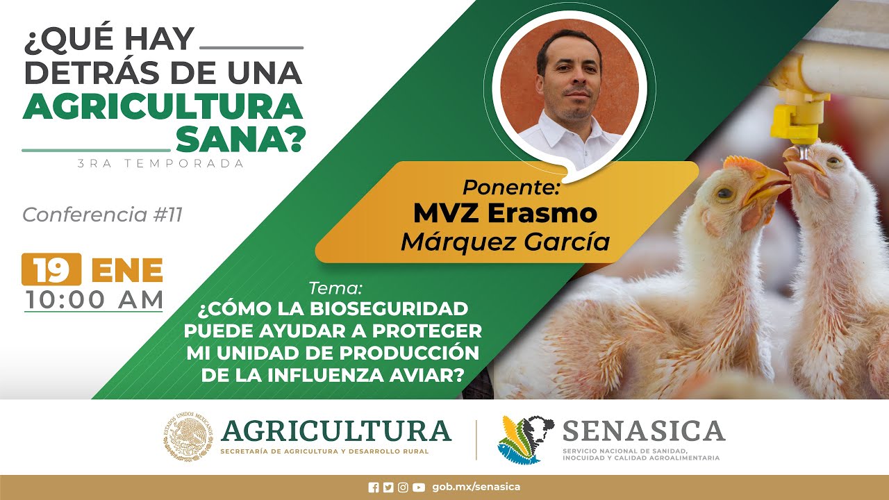Ep. 11 ¿Cómo la bioseguridad puede ayudar a proteger mi unidad de producción de la influenza aviar?