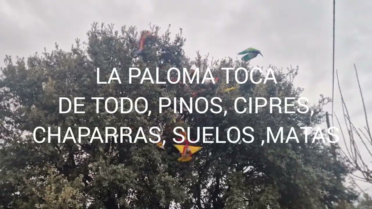 SUELTA FINAL CONCURSO MES ENERO 