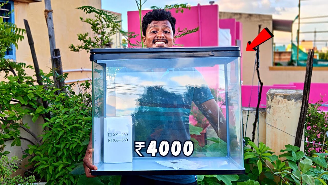 First Time I Bought Imported Fish Tank 🐠| முதல் முறை வாங்கிய மீன் தொட்டி🦈 Worth ₹4000