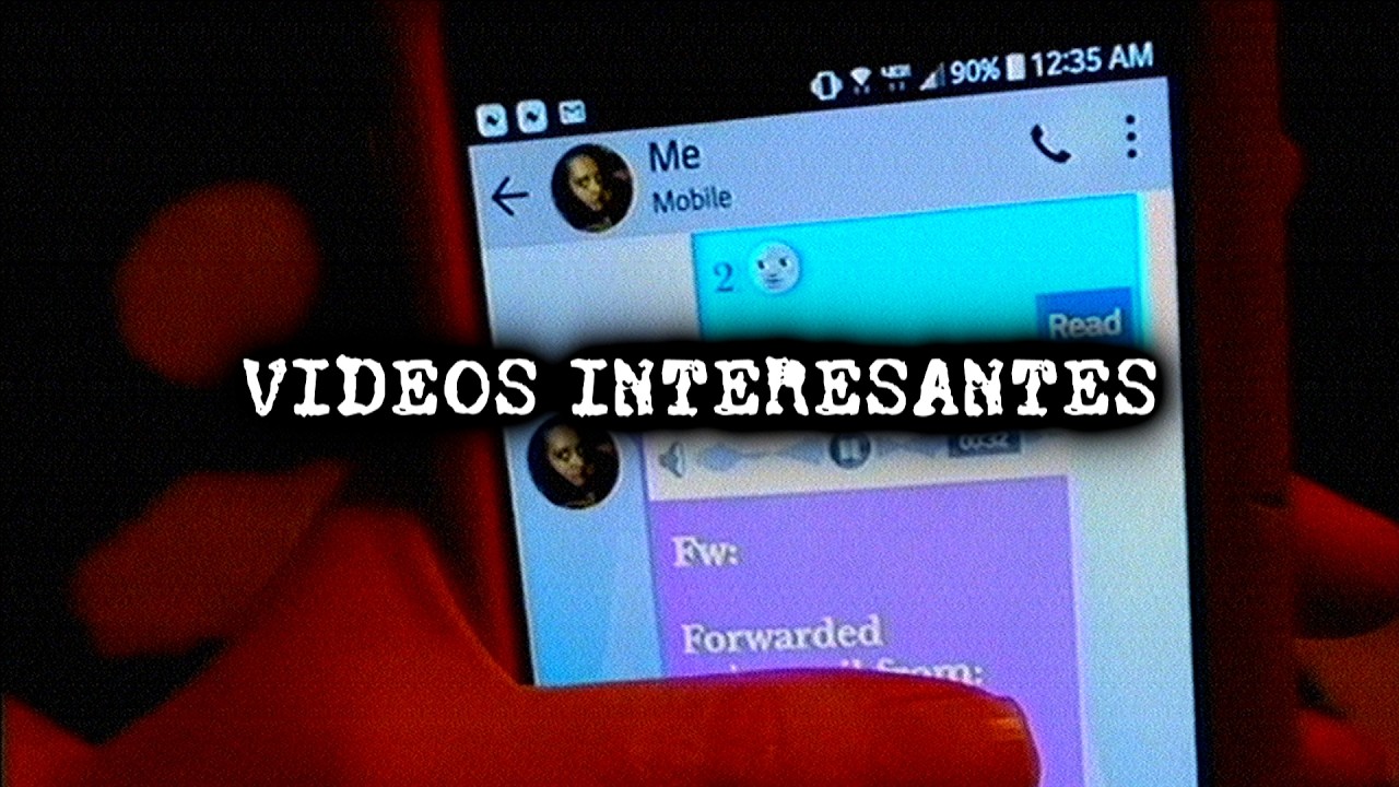 Videos interesantes | FewerBeary