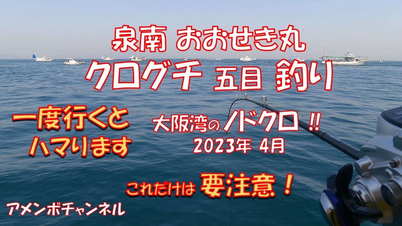 泉南 クログチ釣り これが足りないと… おおせき丸 アメンボチャンネル