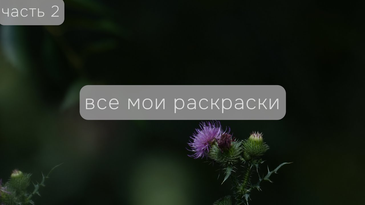 Все мои раскраски и работы в них: часть 2