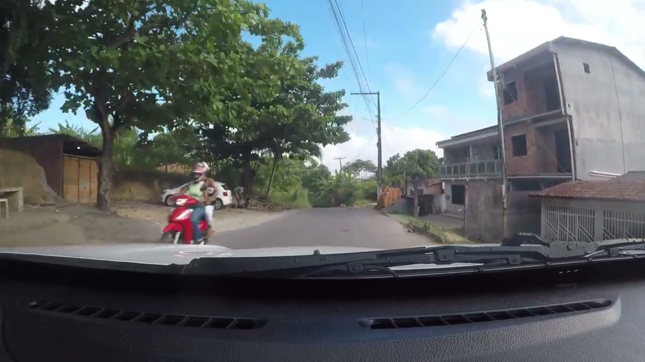 Daily Scenes #6