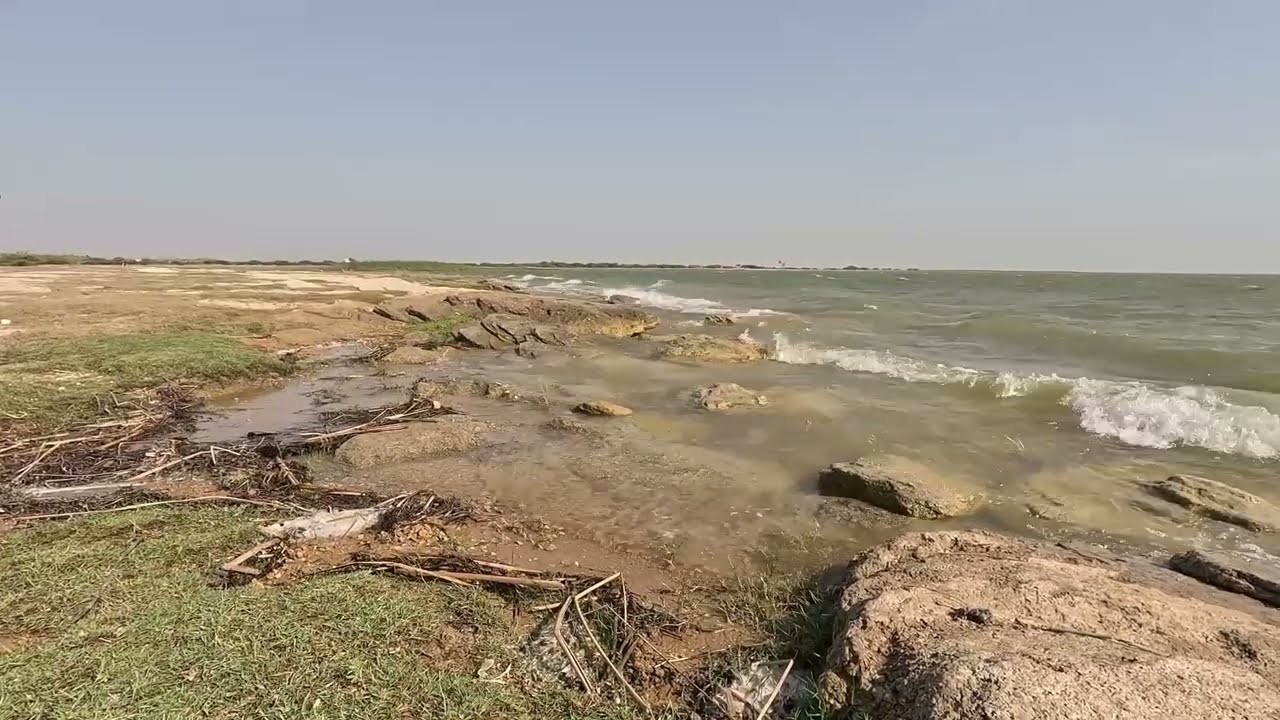 Birding at Jhimpir