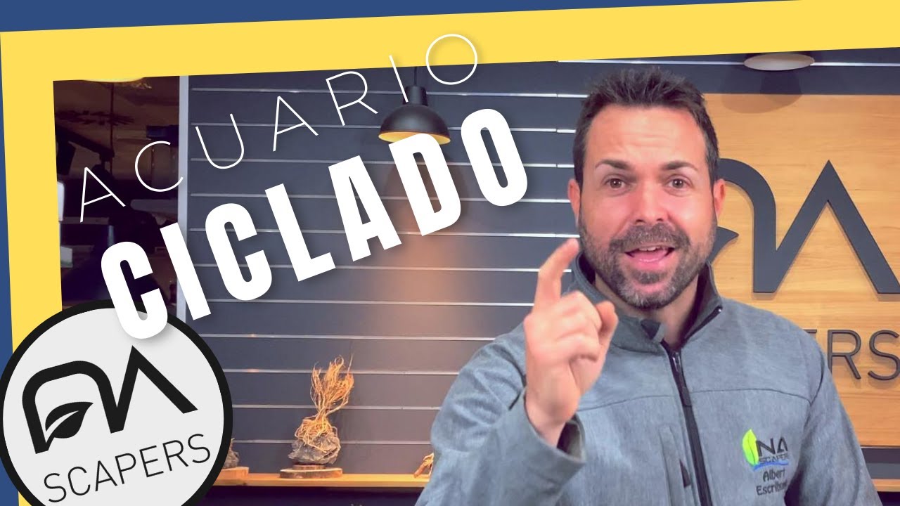 El ciclado del acuario plantado: 25 consejos indispensables 💡💡💡