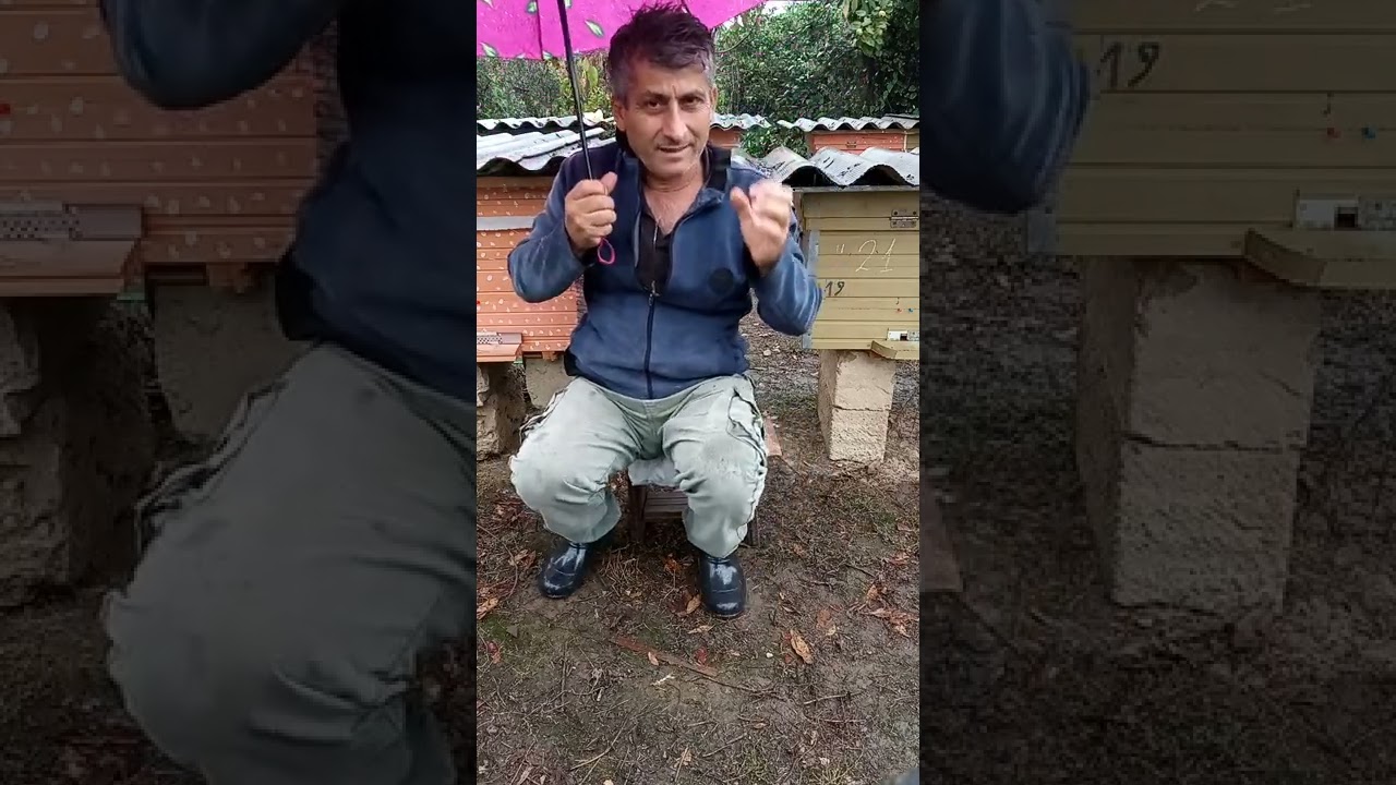 Arı vitaminləri haqqında.