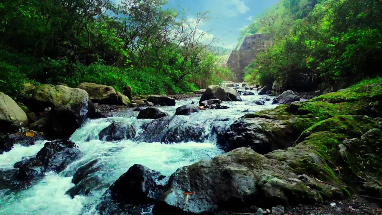 Peaceful River Sound for Relaxation, Mental Recovery and Emotional Balance