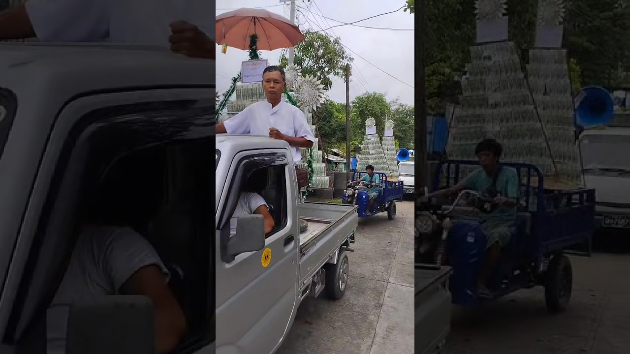 ​ပဒေသာပင်အလှည်မှာကျွဲညီနောင်နဲ့စည်းကား