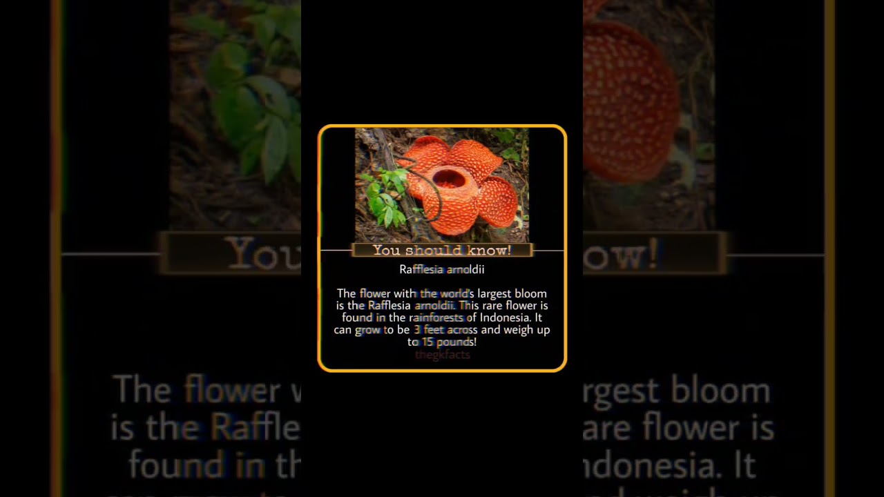 Interesting facts|| Amazing facts #factsandmotivations #facts #thegkfacts #flower #bloom #flowers