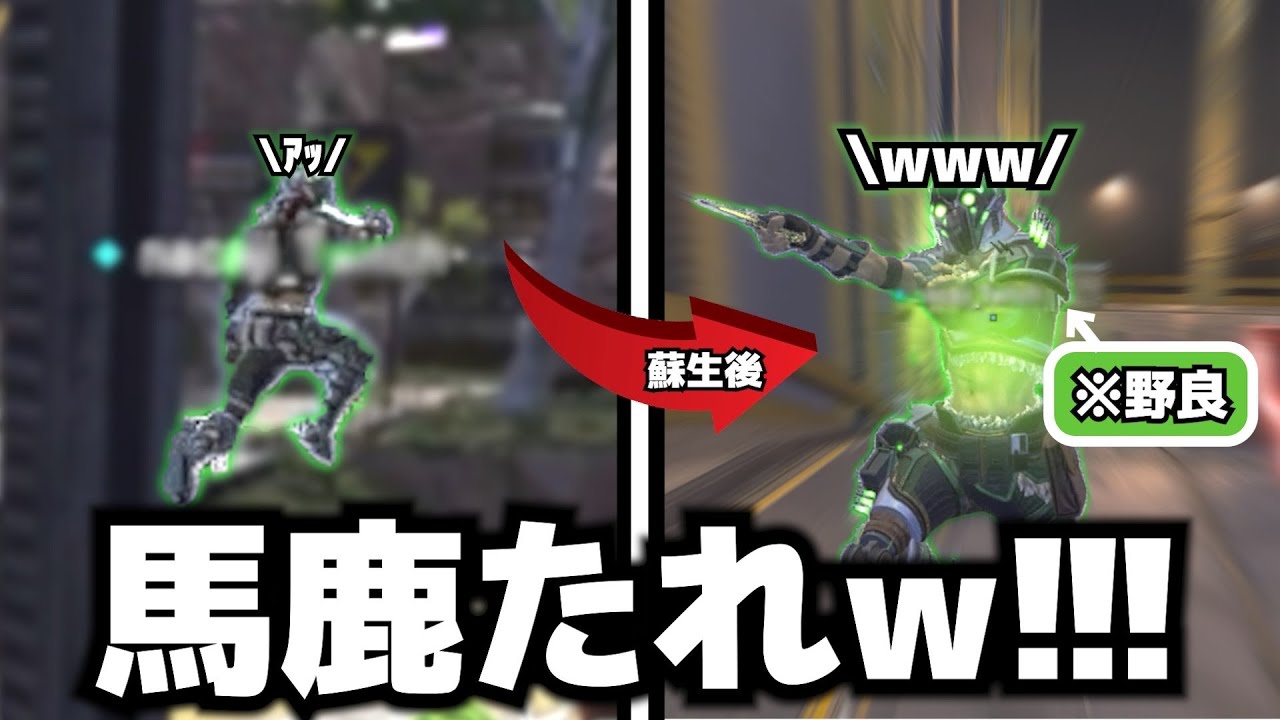 遊びで落下死しちゃう可愛い野良さん【APEX】