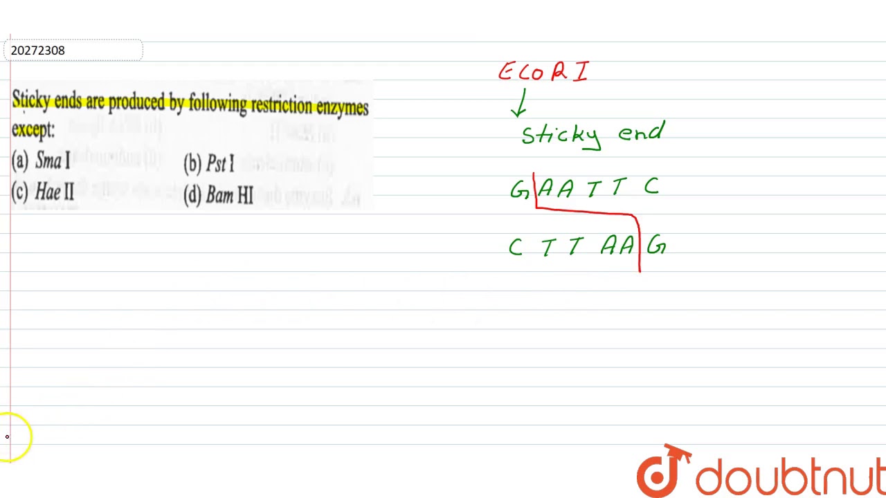 Sticky ends are produced by following restriction enzymes except :