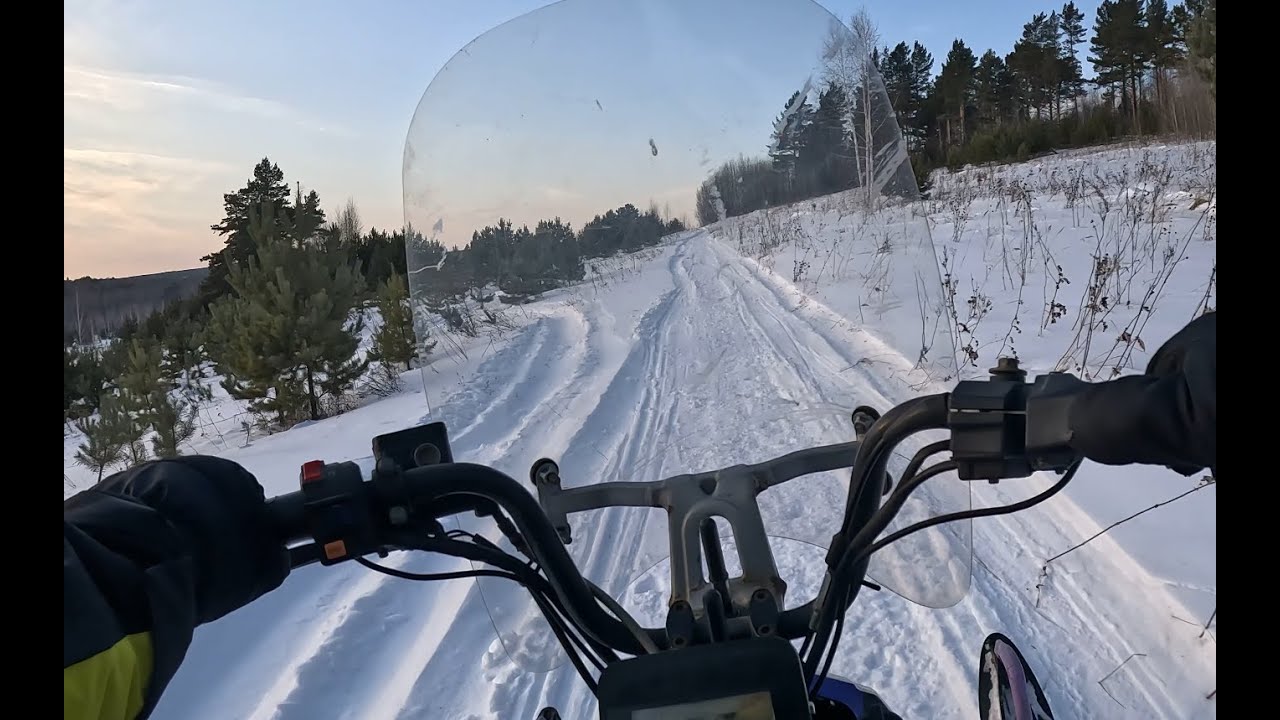 01.2025 По лесам, по полям, синий Dingo T150 едет там! Покатушки на снегоходе.