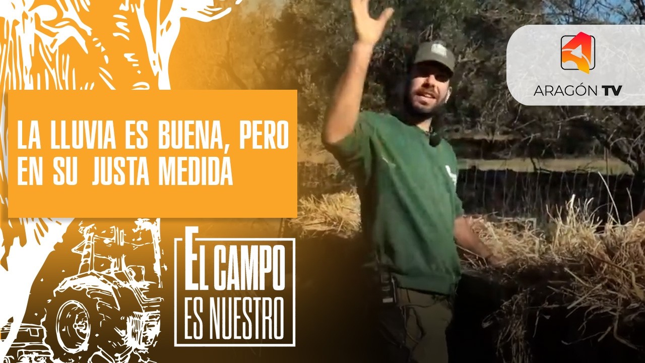 La lluvia es buena, pero en su justa medida