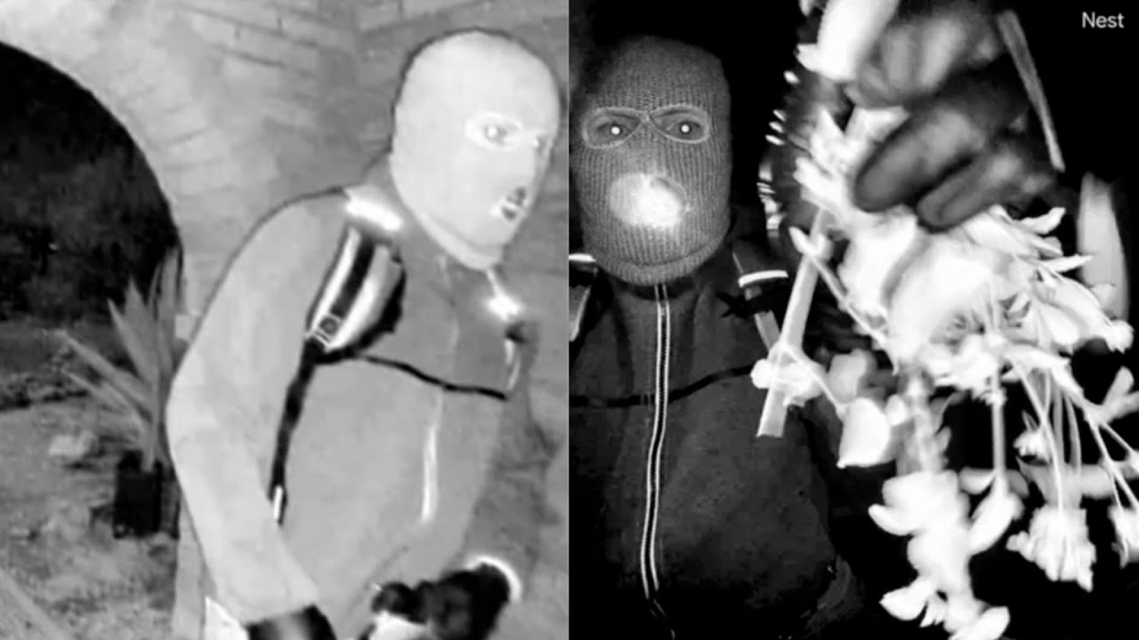 Man detained in Guthrie kidnapping case after door cam footage released