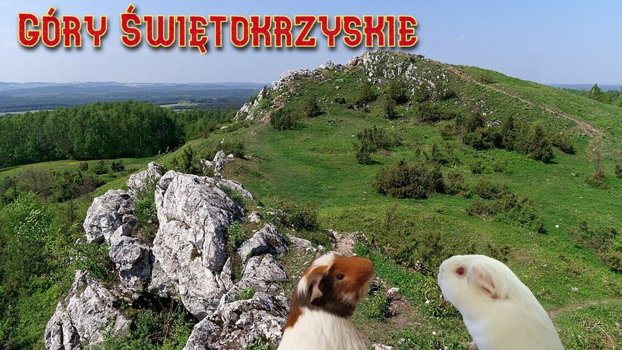 Góry Świętokrzyskie - najciekawsze miejsca, szczyty, rezerwaty i atrakcje turystyczne