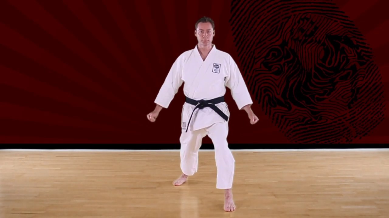 Zenkutsu dachi - Online education - Shotokan Karate-Do JKA
