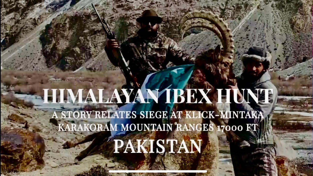 HIMALAYAN IBEX HUNTED KARAKORAM MOUNTAIN RANGE PAKISTAN | Ibex Hunting in Pakistan | Markhor hunting