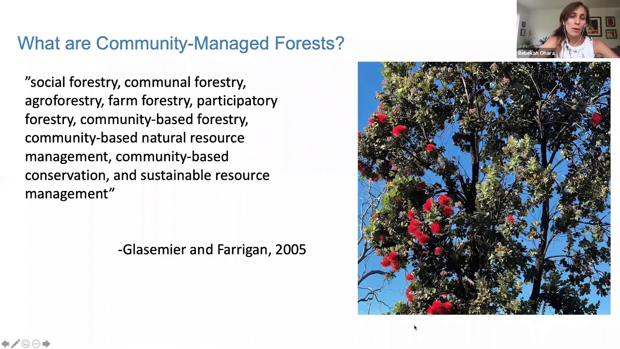June 2020 Webinar: Community-Managed Forests in Hawaiʻi