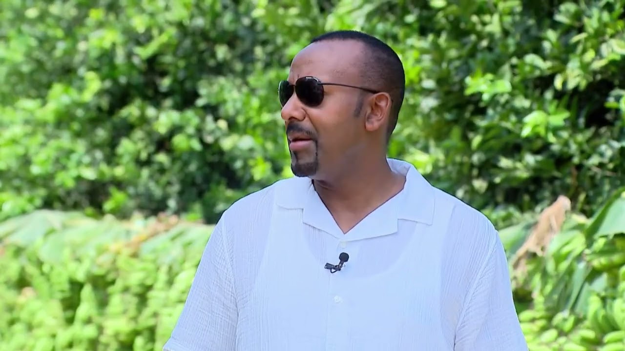 የብላቴ ወንዝ ሰፋፊ የፍራፍሬ ልማቶች 