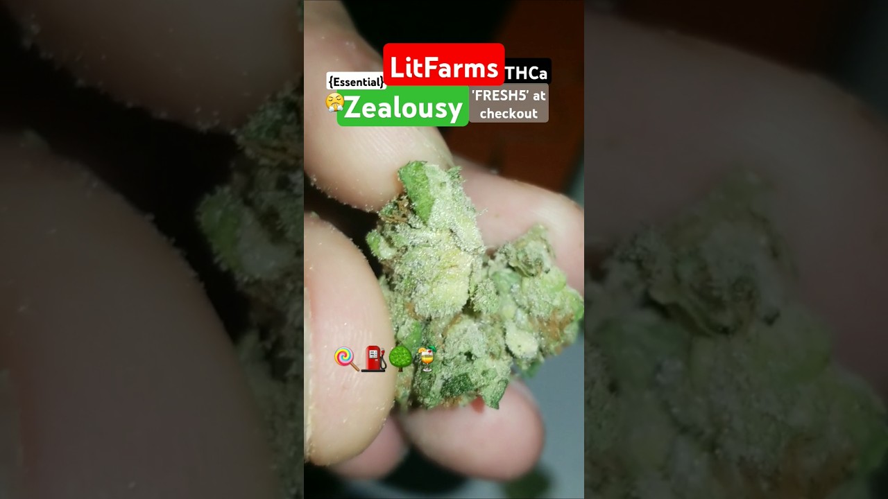 InSAne TeRPs!! 🤯 LitFarms : Zealousy THCa {Essential} Potent Amazing Cross #Legal #Flower #Za