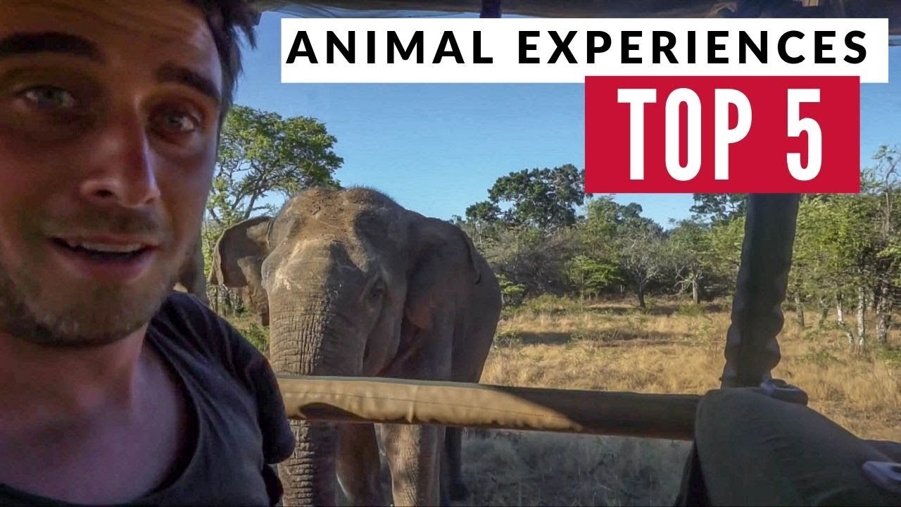 Our Best 5 Animal Experiences In 7 Years Of Travel | Refried Beans 1