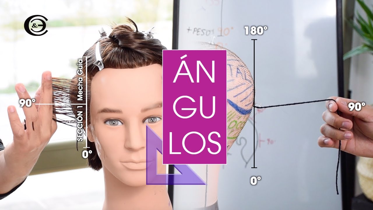 C&oacute;mo ENTENDER LOS &Aacute;NGULOS 45, 90, 180 CORTE de cabello |  Corte y Estilo