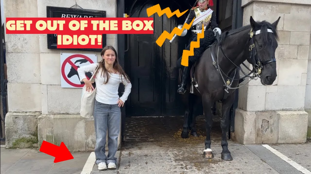 No Nonsense: Lady King's Guard Stops Tourist from Approaching Horse