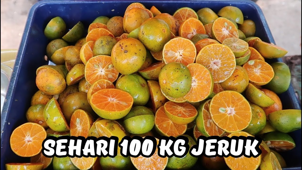 BONGKAR RAHASIA !! USAHA ES JERUK SUPER SEGAR 100 KG JERUK LUDES DENGAN OMSET JUTAAN RUPIAH PERHARI!