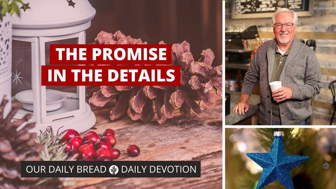 The Promise in the Details - Daily Devotion
