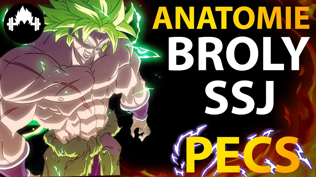 💪 ANATOMIE : Avoir les PECTORAUX de BROLY ! Dragon Ball Super