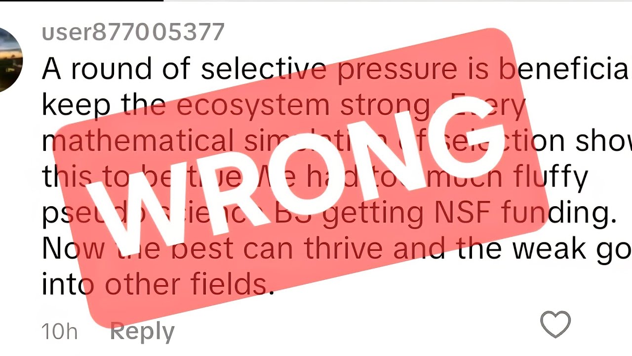 Confidently WRONG (about how NSF funding works)