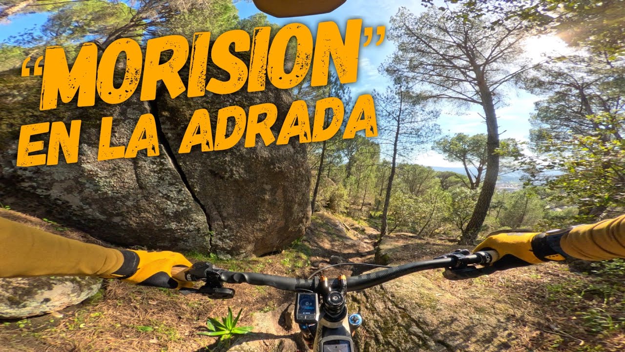 🚵 🌳 Los Canchones 🔺 | Yerbalón◾️ | La Adrada (Ávila) | Enduro MTB | FOCUS SAM2