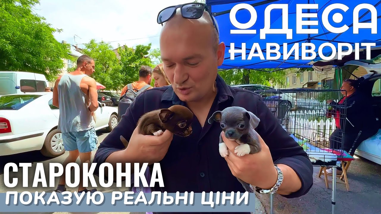 СОБАЧИЙ БАЗАР НАИЗНАНКУ: РЕАЛЬНЫЕ ЦЕНЫ НА ЖИВОТНЫХ? ЧЕСТНЫЙ ОБЗОР СТАРОКОННКИ! @odessa_naiznanku 