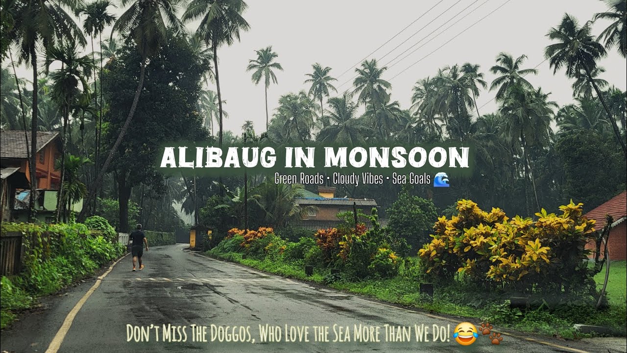 Don’t Skip Alibaug in Monsoon! | We Covered 7 Spots in 1 Day 🚨| Cinematic Travel video 4k