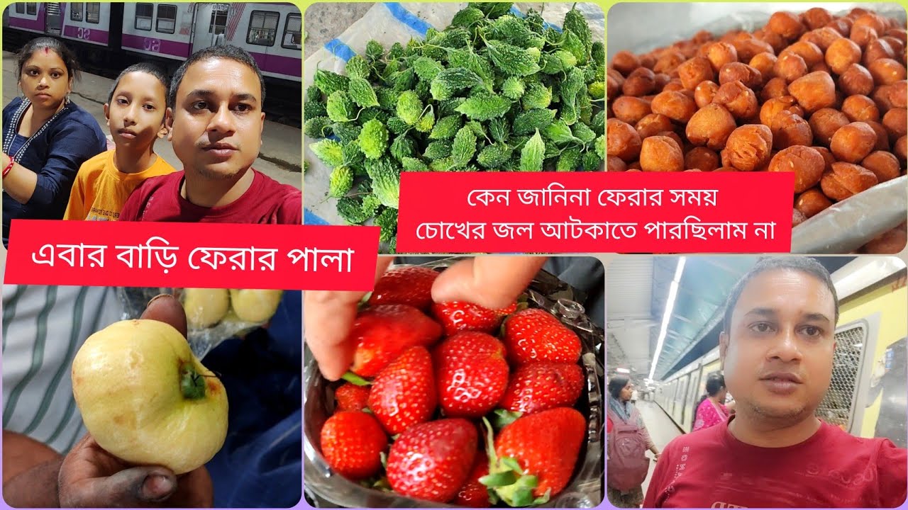 এবার আমাদের বাড়ি ফেরার পালা || ফেরার সময় কেন জানিনা চোখে জল ধরে রাখতে পারছিলাম না ||