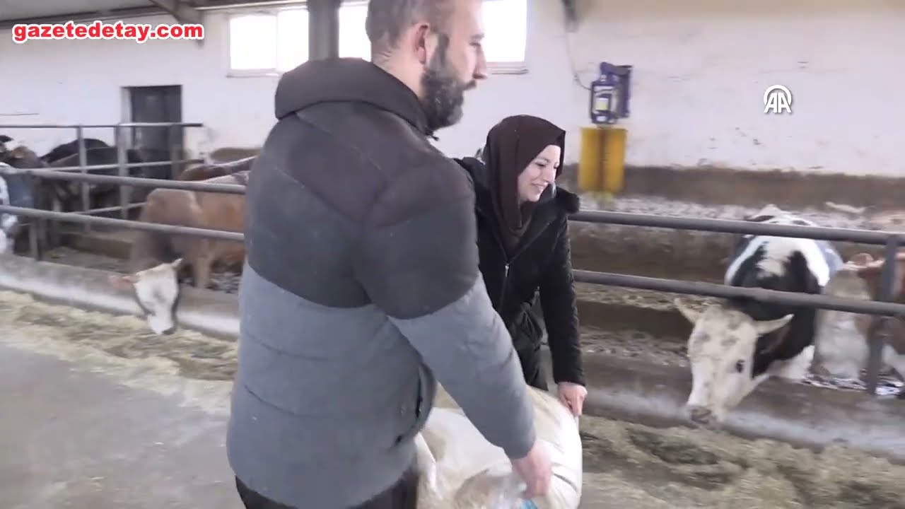 Sivas’ta kadın bankacılığı bırakıp besi çiftliği kurdu