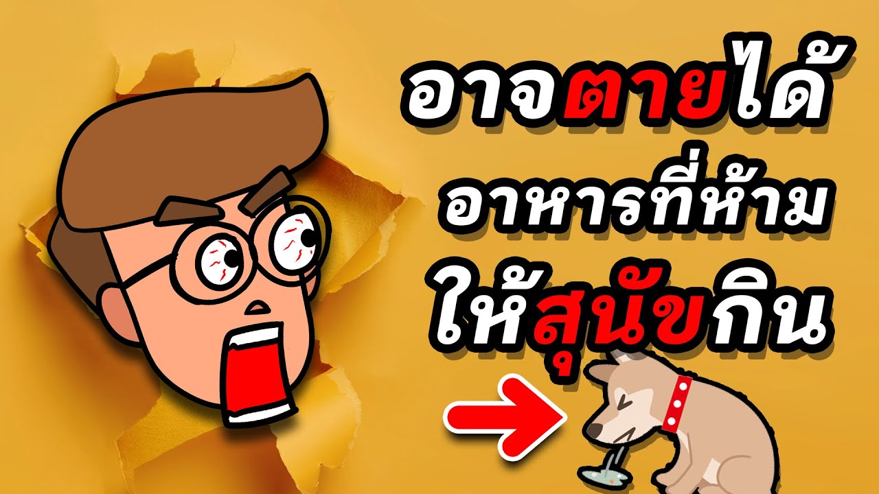 12 อาหารที่สุนัขห้ามกิน (อันตรายอาจถึงตาย !!!)