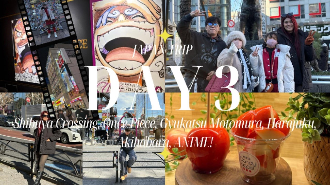 Day 3 - Japan Trip (Shibuya Crossing, One Piece!, Gyukatsu Motomura Harajuku, Akihabara, ANIME!!!)