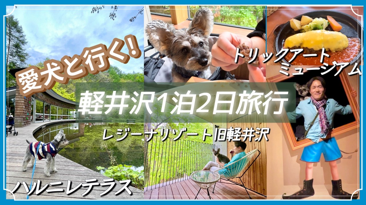 【愛犬と軽井沢１泊２日旅行】を満喫！信州牛グルメ、ハルニレテラス、愛犬と泊まれるレジーナリゾートも紹介！