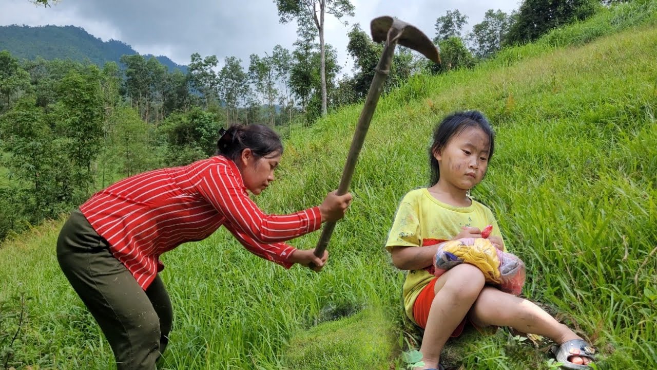 the little girl went to plant corn in the field to study