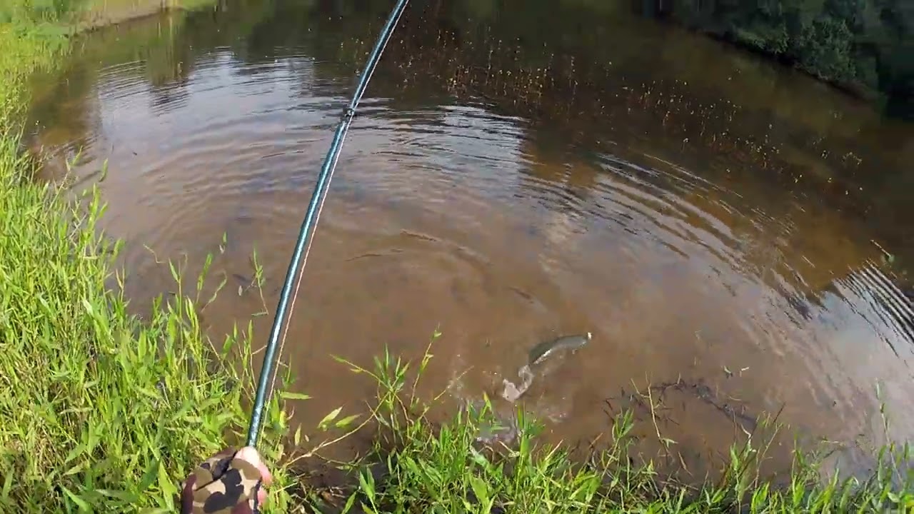 Pesca de Tra&iacute;ra no interior de SP.