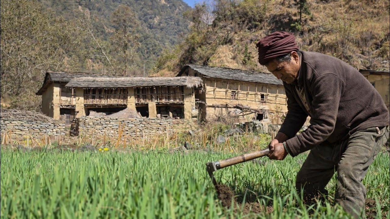 Daily Life of Himalayan People || Most Peaceful And Relaxing Nepali Village Lifestyle || NABIN